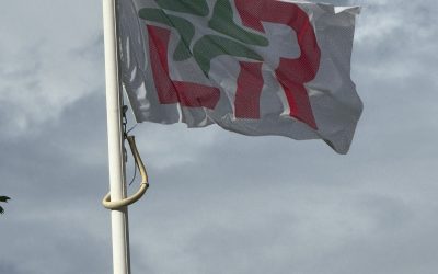 Unisurge L&R Flag